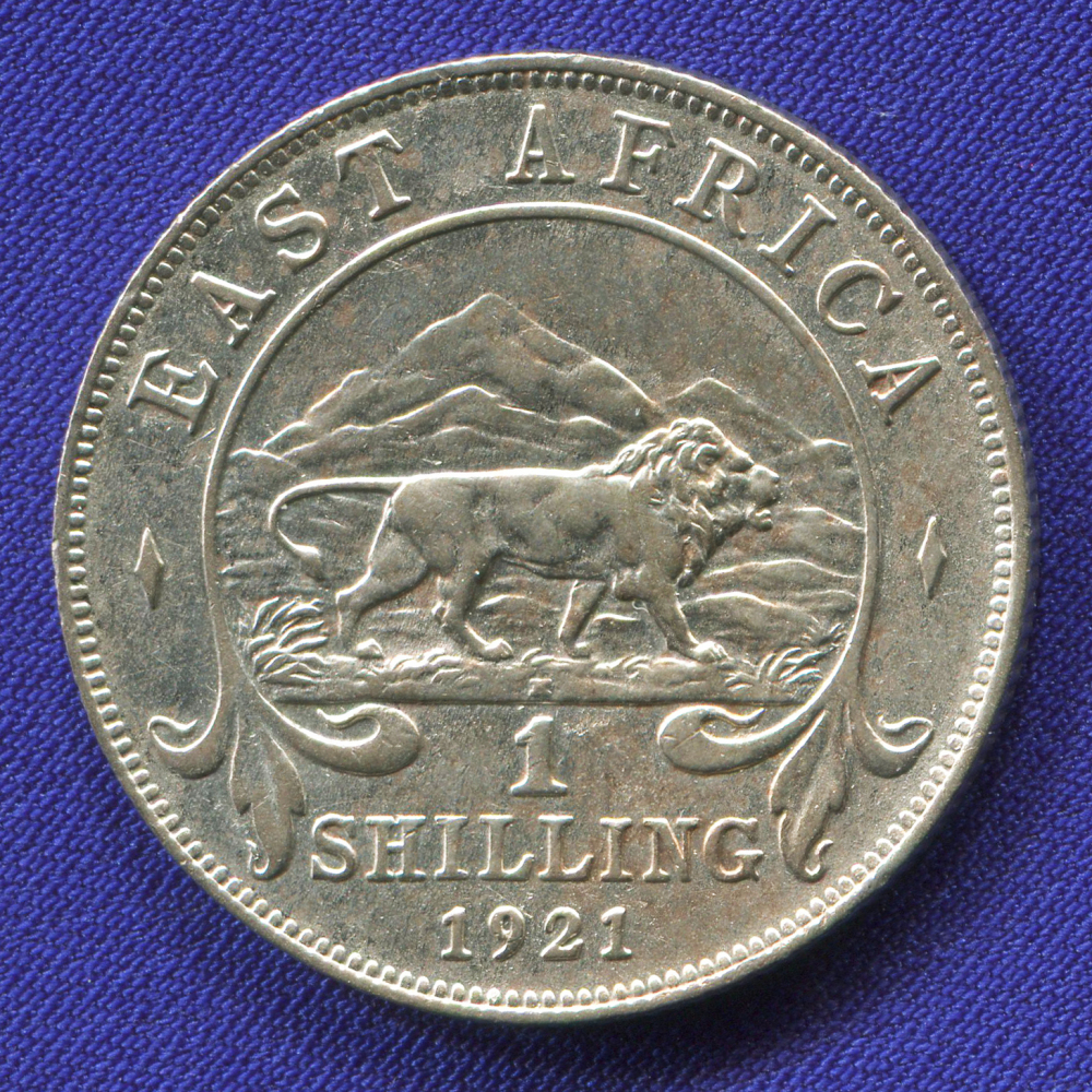 Британская Восточная Африка 1 шиллинг 1921  - 1