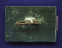 Значок «УРАЛВАГОНЗАВОД 1936-1981 гг.» Алюминий Камень  Булавка - 1