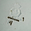 Блюдо большое. Фарфор до 1917 г. Т-во Кузнецова. - 3