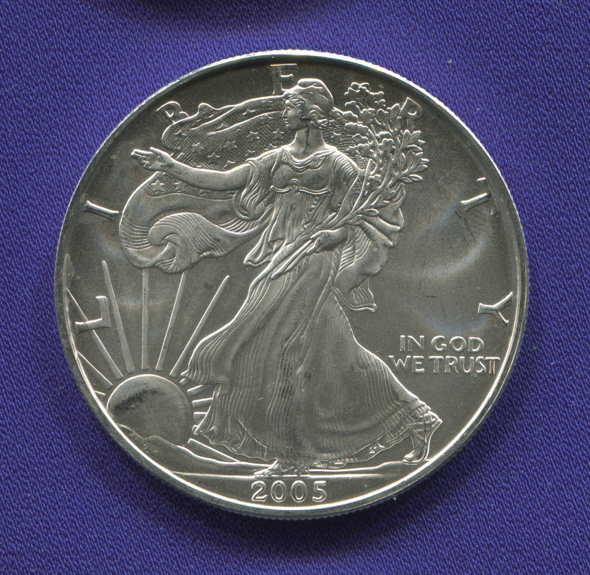 США 1 доллар 2005 UNC Шагающая свобода