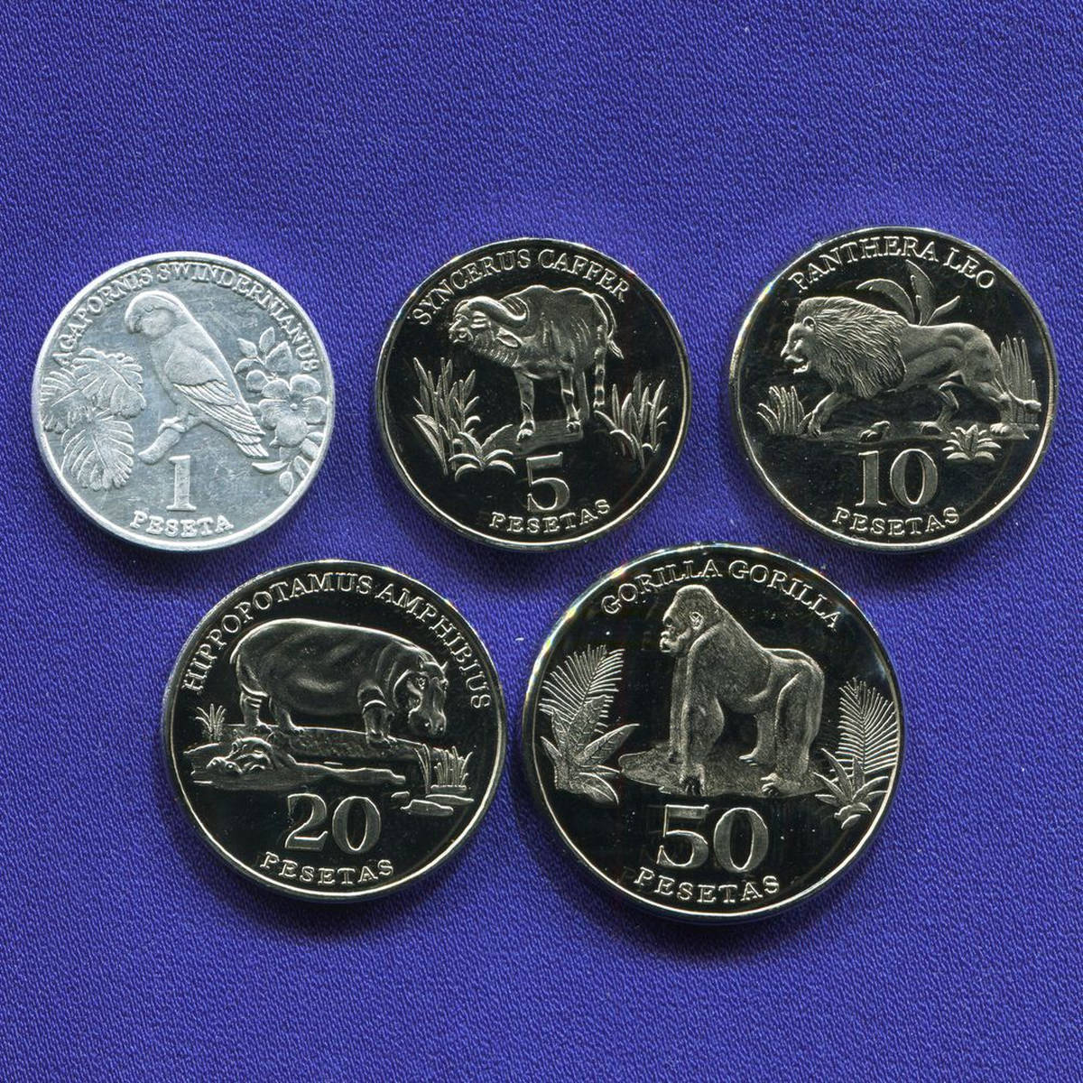 Западная Сахара набор 2020 UNC из 5 монет 1, 5, 10, 20, 50 песет, Фауна. 