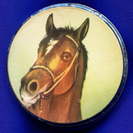 Детский значок «Лошадь» Пластмасса Булавка