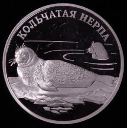 Россия 1 рубль 2007 года СПМД / Proof / Кольчатая нерпа