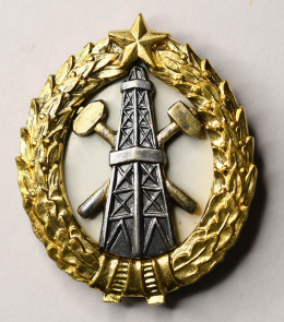 Знак «За Окончание Нефтяного Института » Латунь Эмаль Винт