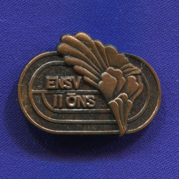 Значок «ENSV II ONS» Тяжелый металл Булавка