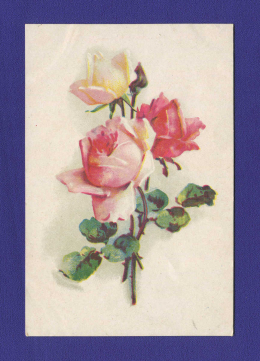 Открытка: Цветы розы LPRRT Tipolitografija Riga / Заполнена
