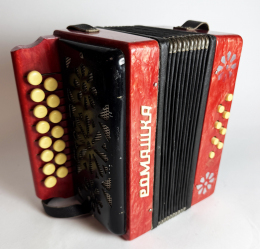 Гармонь детская "Ромашка"